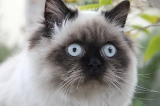 Reward: R 2000 No Questions Asked