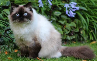 Reward: R 2000 No Questions Asked