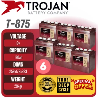 Trojan T875 8V 170Ah Deep Cycle Golf Cart Battery Set of 6