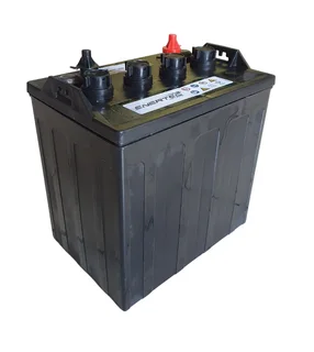 Enertec 8v 170ah Golf Cart Battery (T875)