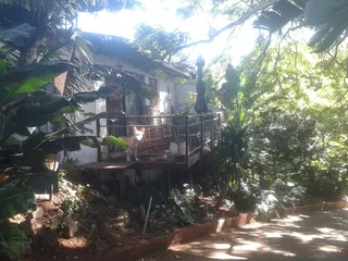 Garden cottage for rent