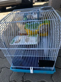 Hamster cage complete with everything you need