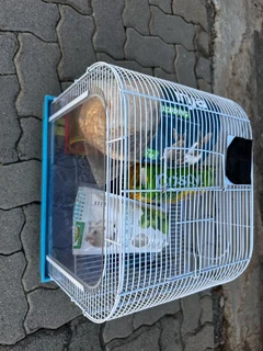 Hamster cage complete with everything you need