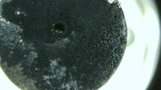 Petrol injector testing, servicing ranging from PFI, GDI and Siemens and Bosch Piezo petrol injector