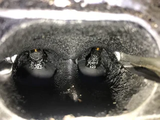 Petrol Injector servicing.  Any injector ranging from Port Fuel injector, GDI as well as Piezo.