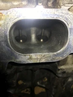 Engine Carbon removal and Injector cleaning under one roof!