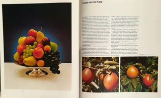 Boom van die lewe (Sagte Vrugte Raad) - Siegfried Stander