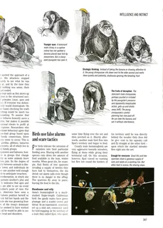 Exploring the secrets of nature