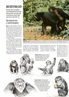 Exploring the secrets of nature