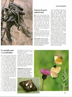 Exploring the secrets of nature