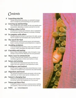 Exploring the secrets of nature