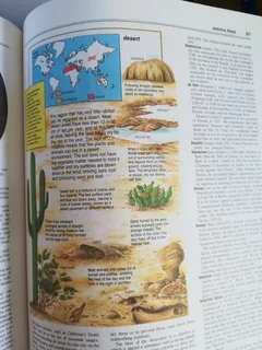 Webster&#39;s New World Encyclopedia - 1220 pages