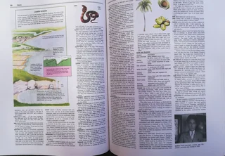 Webster&#39;s New World Encyclopedia - 1220 pages