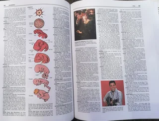 Webster&#39;s New World Encyclopedia - 1220 pages