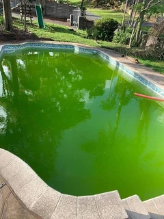 Swimming Pool Services