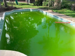 Swimming Pool Services