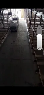 Reefer container converted for a mushroom farm