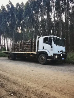Isuzu flatbed truck with pockets,