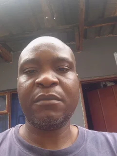 Laboratory quality controller