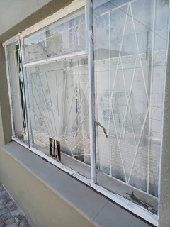WINDOWS PLUS BURGLAR BARS