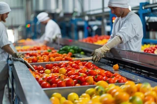 Supreme Suppliers Stainless Steel Sorting Tables