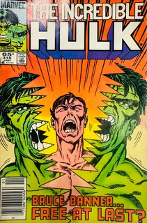The Incredible Hulk-bruce Banner…free At Last?