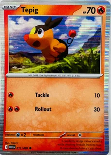 Pokémon-collector Cards-basic Series-tepig