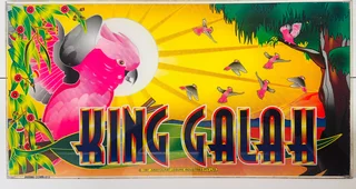 Casino Gaming Machine Artwork-gaming Machine Artwork Advertising-slot Machine Artwork-king Galah