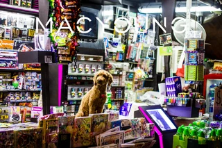 Macyoung: Pet Store - Sold By Macyoung