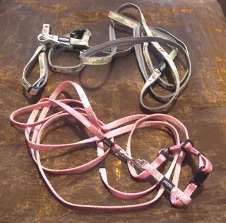 Rogz cat adjustable harnesses x 2 with leashes &amp; food dispenser