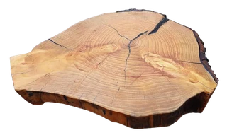 Natural Edge Tree Slice Coffee Table