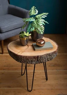 Natural Edge Tree Slice Coffee Table