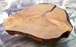 Natural Edge Tree Slice Coffee Table