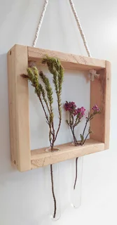 Propagation / Plant display kits