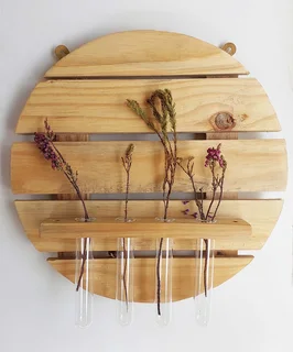 Propagation / Display Wood Circle