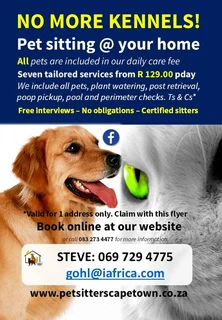 PET SITTING