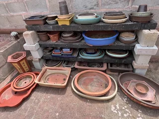 Bonsai Pots