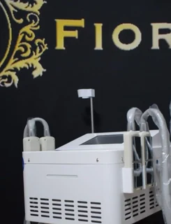 Cryolipolysis Cryo ems / Cryolipolysis machine / Ems machine / Slimming / fat freezing / weight loss
