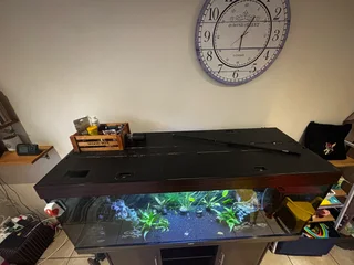 Juwel 450 fish tank