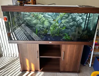 Juwel 450 fish tank