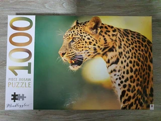 1000 Piece Jigsaw Puzzle