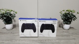 Xbox Series Controllers and PS Dual Sense Controllers