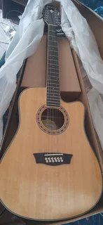 12 String Acoustic Guitar Washburn