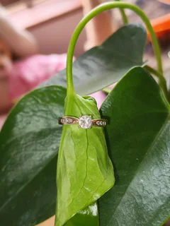 Diamond Ring 18ct Yellow Gold with 7 Diamonds