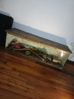 REPTILE AND ENCLOSURE | Bluff | Gumtree South Africa