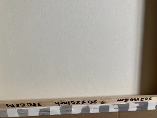 Acrylic painting  20x20 inch