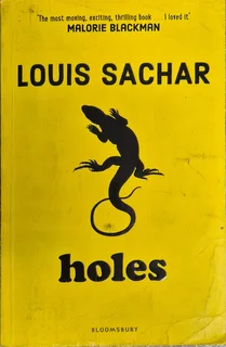 Louis Sachar Holes book