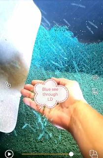 Plastic recycling line