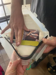 17” black wintec dressage saddle in medium-wide (blue) gullet