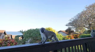 R2,000pn Holiday house in Elysium south coast KZN